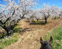 France-Provence-Relaxed Ride in Provence